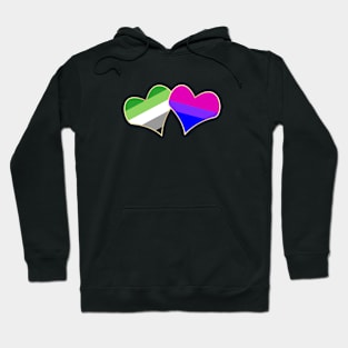 Double Attraction (Aro/Bi) Hoodie